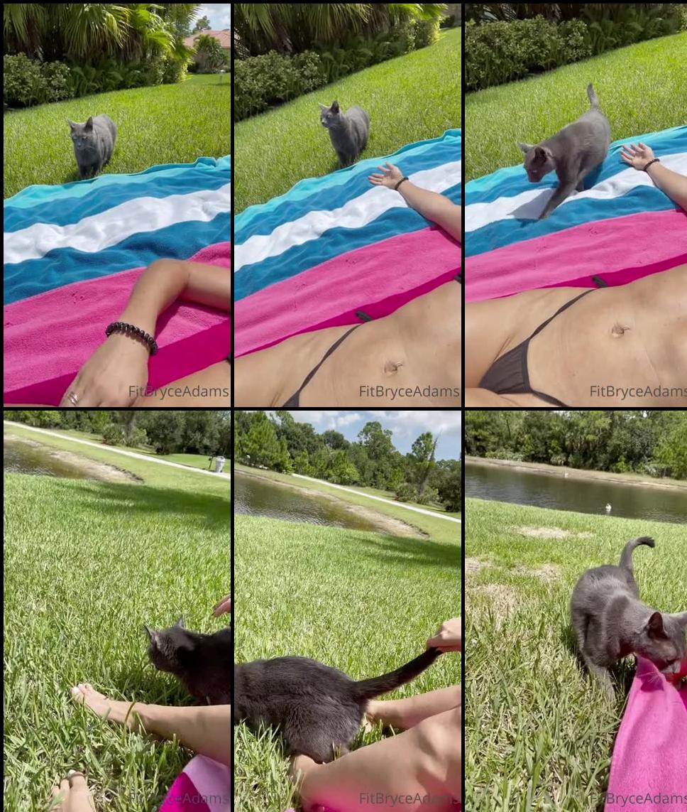 fitbryceadams 02 09 2021 2208384481 little sun and cat time with one of my guys.mp4