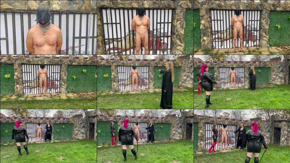 mistress_zeida 01 03 2023 2680162184 Video Chest torment with iron wire. Do you want to see more