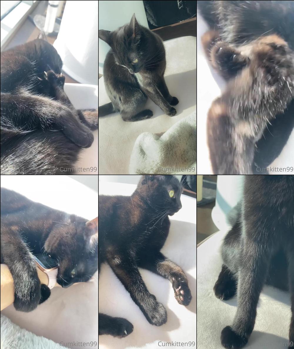 kattinthehat 235611329 2021 12 06 gooooood morning this is our morning routine i d like to submit my application for a stay at hom