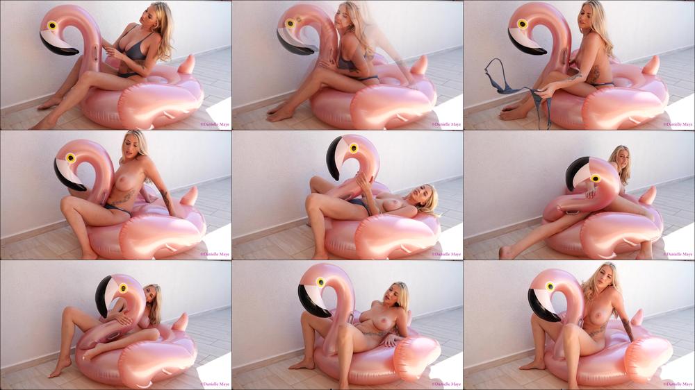 Inflatable Play - January 28, 2019