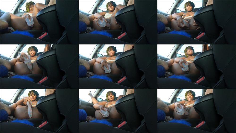 Car masturbation