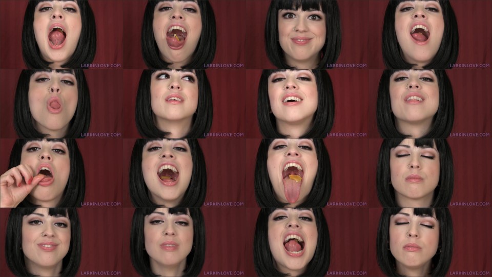 Larkin Love Swallowed Whole