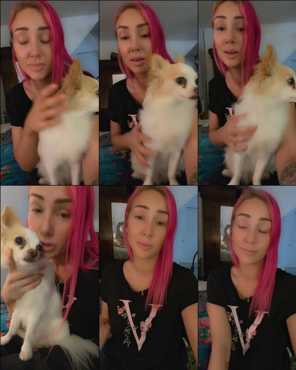 xsofiasunshine 04 09 2022 2586991082 Hey guys Iâm really sorry I wasnât around todayâ¦ My little dog was attacked at the p