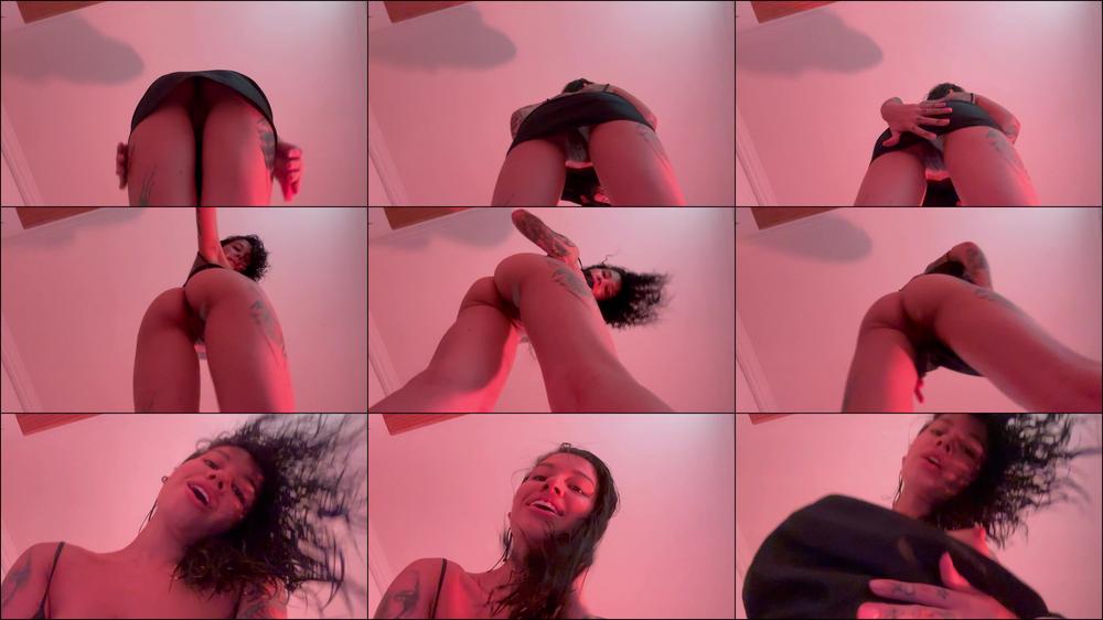 POV PUSSY
