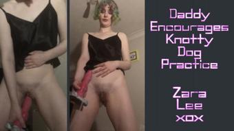 Daddy Suggests Knotty Dog Practice Gape - Dec 4, 2022 (Zara Lee xox)