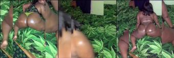 freakshowcrayola 15048657 2020 03 08 ass everywhere 420 (freakshowcrayola)