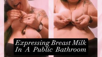 Expressing Breast Milk In A Public Bathroom (narratophile)