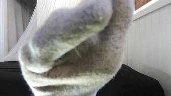 Goddess Emerald - Emerald's Stinky Gym Socks (Goddess Emerald)