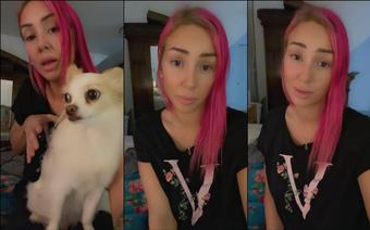 xsofiasunshine 04 09 2022 2586991082 Hey guys Iâm really sorry I wasnât around todayâ¦ My little dog was attacked at the p (xsofiasunshine)