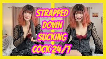 Strapped Down Sucking Cock 24/7 - January 31, 2025 (Yourhikerbabe)