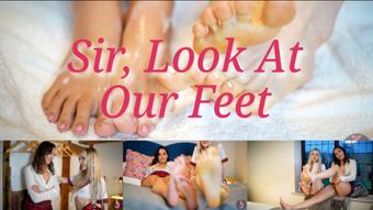 Sir, Look At Our Feet (Summer Fox)