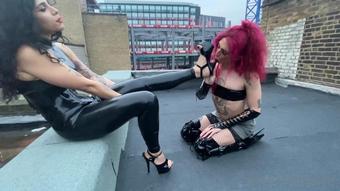 mistresssophiasahara 01 12 2020 1365159050 watch my slutty sub tiffanytowers8 take my heels straight (mistresssophiasahara)