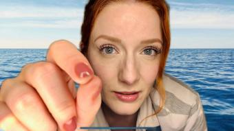 One night stand digests you (Evelyn Jade)
