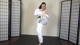 ROXANNE RAE'S KARATE KICKS - June 18, 2022 (RoxieRaeFetish)