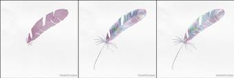 violetoctober 306368397 2022 04 11 time lapse video of a feather i painted this weekend  (VioletOctober)