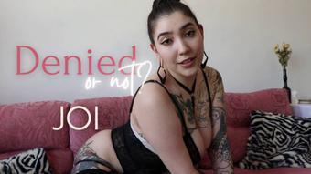 Denied or Not? 1 (devillishgoddess)