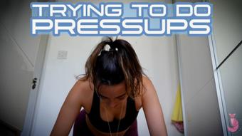 Trying To Do Pressups (Summer Fox)