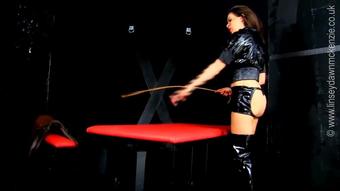 linseydawnmckenzie 2472924 2018 11 23 black friday cane domination video for black friday gwt your discounted subscription today  (linseydawnmckenzie)