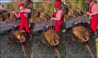 angelwicky 02 03 2022 2380090042 Winter garden sklenÃ­k. 1  shoveling cow shit. NaklÃ¡dÃ¡nÃ­ kravskÃ½ch hoven (angelwicky)