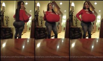 foxymenagerieverre 02 12 2021 2290450378  (foxymenagerieverre)