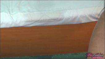 Wildeva P– The Hotel Room 3 Toilet Lid Bed (Wildeva)