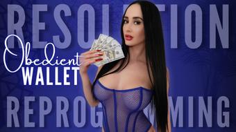 Resolution Reprogramming: Obedient Wallet - January 03, 2025 (Violet Voss)
