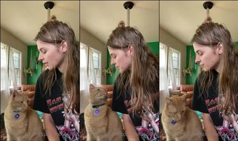parisbush 153066766 very unsexy but very cute clip of my cat who loves it when i play piano  (parisbush)