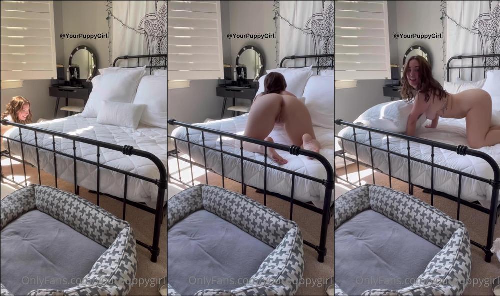 yourpuppygirl 13 09 2021 2219348327 This is my bed now ok   