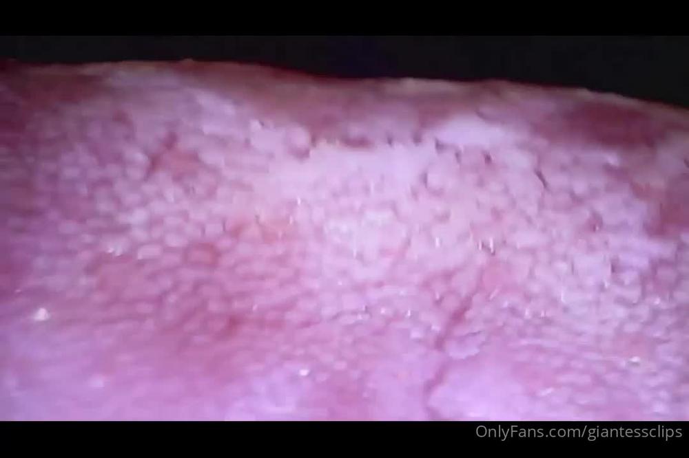 giantessclips 13 08 2021 2186146219 Dani loves teasing you in this giantess clip, stripping down and swallowing you For more