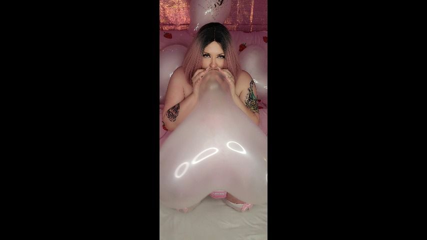BBW kitten blows 5 big clear balloons - November 22, 2021