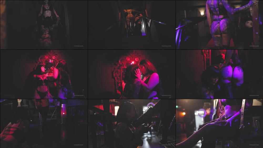 wildcard666 22 02 2020 157830866 Surrender your inhibitions Turn the volume up     