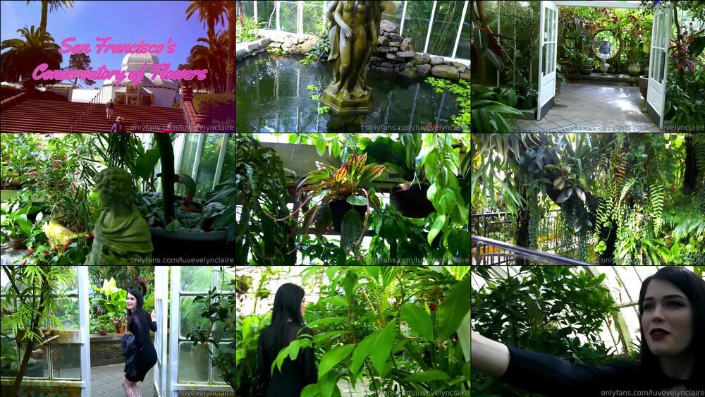 luvevelynclaire 19 02 2019 22756568 please enjoy this cute little adventure video shot last summer in san fran