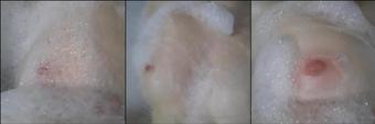 little_bee 12 05 2020 38878514 Foam on my boobies (little_bee)