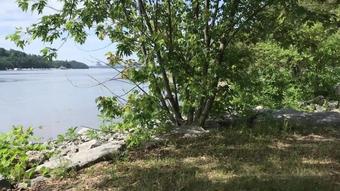 mochalamulata 26 07 2019 46762046 Just taking a break by the water at Parc de la Baie in Gatineau, QC. Your subscription als (mochalamulata)