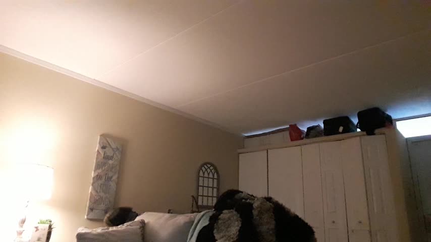 step-Sister In Law Taboo Homewrecker - April 24, 2019
