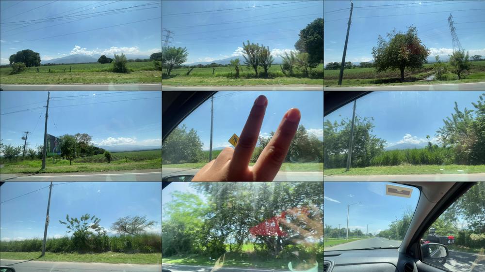 I love nature so much - April 18, 2025