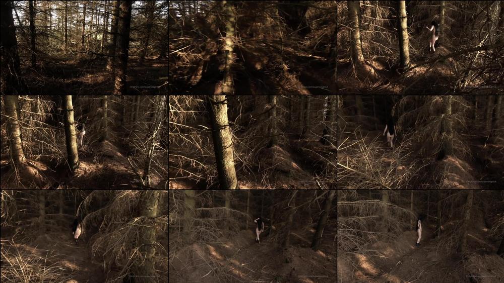 supersexgirluk 30 08 2019 55983380 Follow me into the woods...