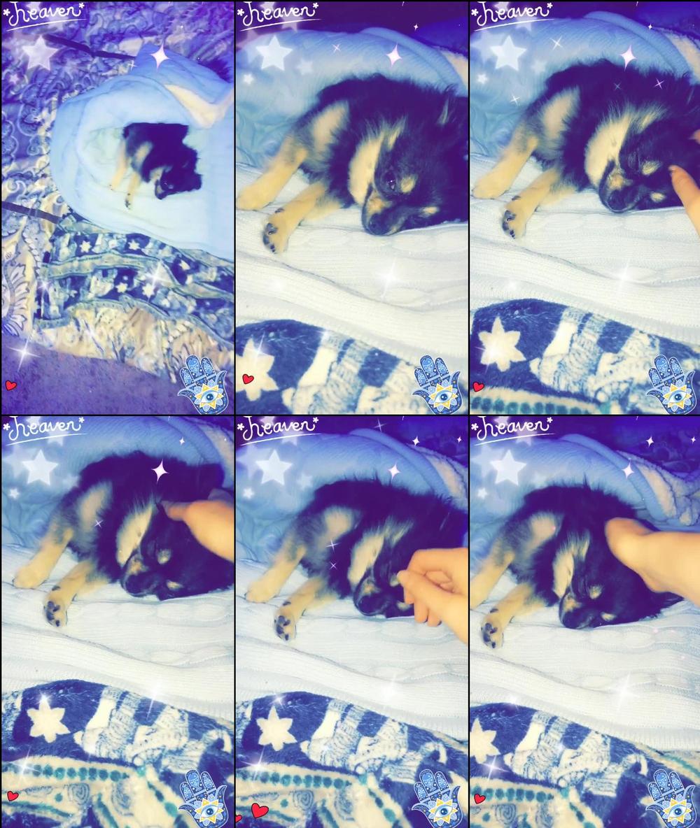 elenakoshkaxoxo 09 12 2018 17574365 Awwwwww da baby  Back home and loving it, finally a clean place with a clean tub... miss b