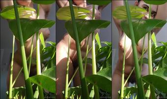 eroicaforest 909422322 sexy dance in the bush for youu  (eroicaforest)